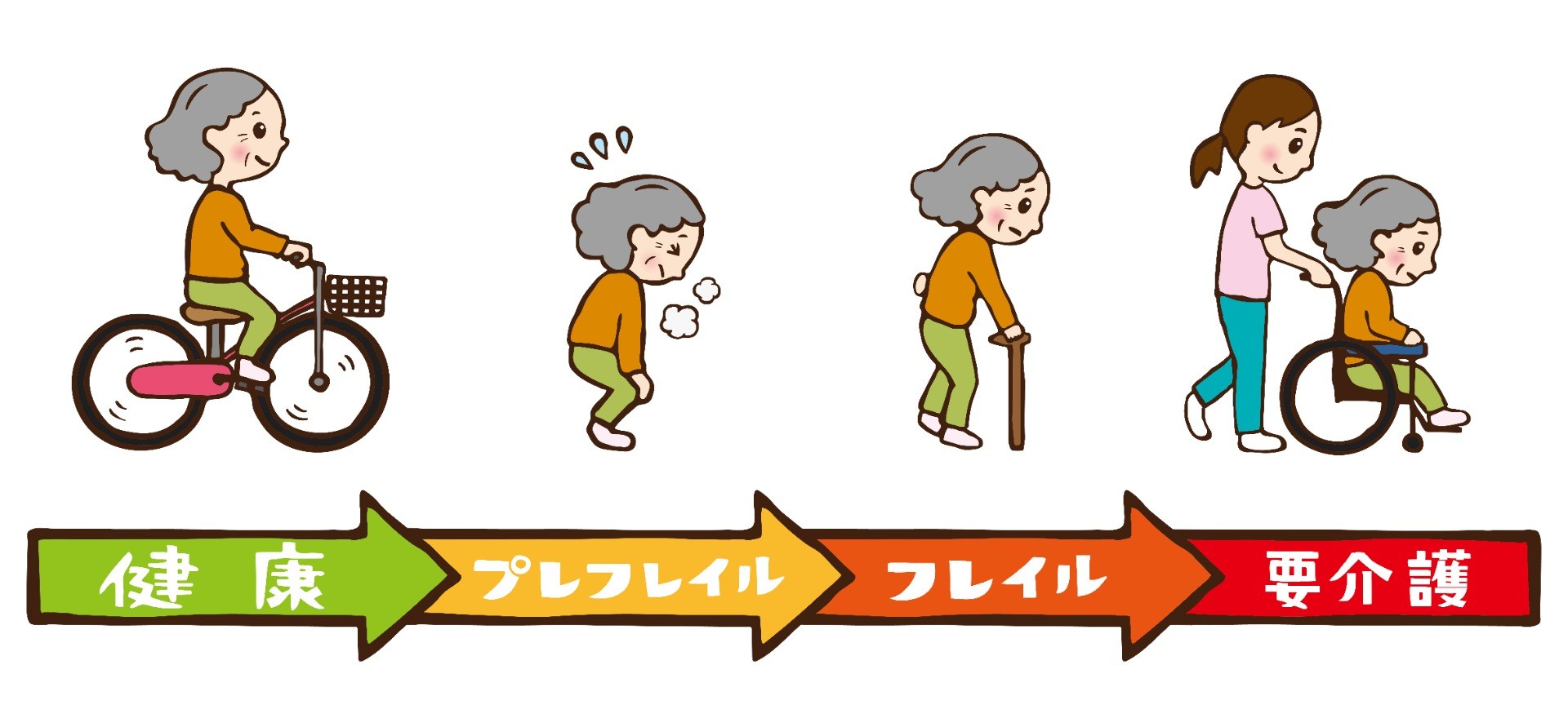 サルコペニア・フレイルを予防しよう